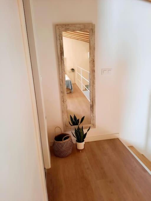 赫雷斯Loft Centrico Con Patio Bodega San Javier公寓 外观 照片
