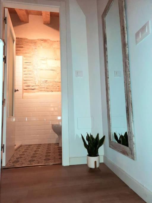 赫雷斯Loft Centrico Con Patio Bodega San Javier公寓 外观 照片